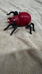 Spin en schildpad, Ophalen