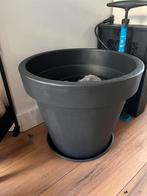 Pots for plants, Ophalen of Verzenden, Rond, Minder dan 25 cm