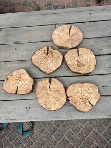 Houten Boomschijven - Set van 6 beschikbaar voor biedingen