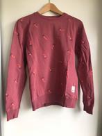 Sweater peperoni maat 14 xs, Jongen of Meisje, Trui of Vest, Brian and nephew, Ophalen of Verzenden