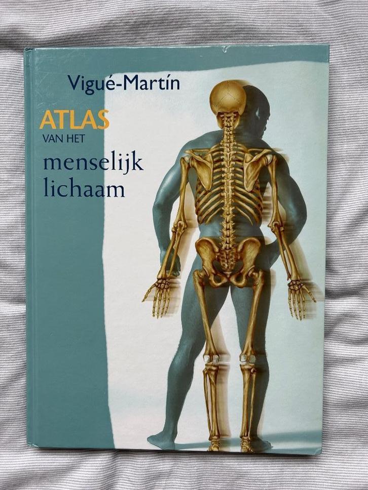atlas van het menselijk lichaam door Vigué-Martín 2006, Boeken, Studieboeken en Cursussen, Gelezen, HBO, Alpha, Verzenden