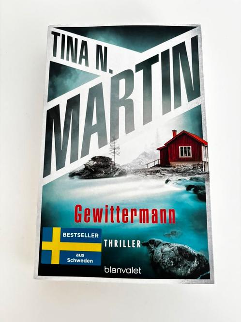 Gewittermann - Tina N Martin, Boeken, Avontuur en Actie, Zo goed als nieuw, Verzenden