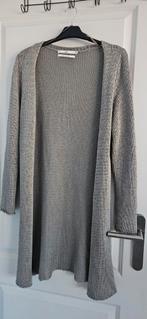 Aaiko vest - Maat XL - Grijs, Aaiko, Maat 46/48 (XL) of groter, Ophalen of Verzenden, Zo goed als nieuw