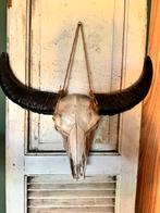 Bull decoratie kop, Ophalen of Verzenden, Zo goed als nieuw