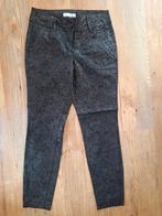 Red button zwarte broek met glansprint, mt. 38, Kleding | Dames, Broeken en Pantalons, Lang, Maat 38/40 (M), Ophalen of Verzenden