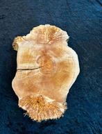 Burl / Burls ! Unieke Berken Burl, Ophalen of Verzenden