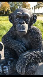 Schimpanse 55kg 52cm Chita Bonobo Aap Aap Gorilla Chimpanse, Ophalen of Verzenden, Zo goed als nieuw, Beton, Dierenbeeld