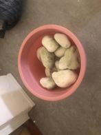 aquarium deocaratie - stenen grote witte pebbles, Dieren en Toebehoren, Vissen | Aquaria en Toebehoren, Ophalen, Gebruikt, Plant(en), Steen of Hout