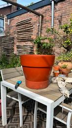 Mega grote Elho bloemenpot 42cm diameter, Tuin en Terras, Bloempotten, Ophalen, Kunststof, 40 cm of meer, Rond