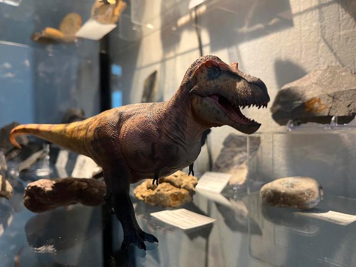Haolonggood Tyrannosaurus rex 1:35 model, Verzamelen, Poppetjes en Figuurtjes, Nieuw, Ophalen of Verzenden