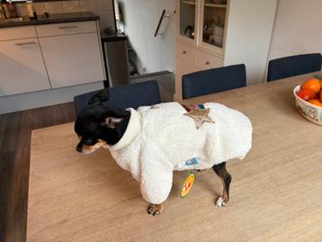 Nieuw hondentruitje S beschikbaar voor biedingen