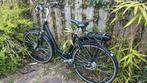 Elektrische fiets doet het niet meer, Ophalen of Verzenden, Zo goed als nieuw, Overige merken