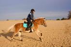 Lieve veelzijdige haflinger merrie zoekt fijn huisje💛🩷, Dieren en Toebehoren, Pony's, Merrie, Gechipt, 7 tot 10 jaar, Recreatiepony
