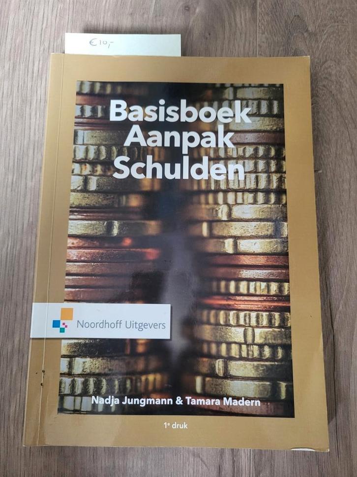 Tamara Madern - Basisboek aanpak schulden, Boeken, Wetenschap, Zo goed als nieuw, Sociale wetenschap, Ophalen of Verzenden