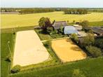 24/7 kudde paarden pension, stalling, weidegang, paddock, Weidegang