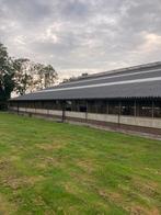 Stalgordijn, Zakelijke goederen, Agrarisch | Agrarisch Onroerend goed, Ophalen, Melkveehouderij