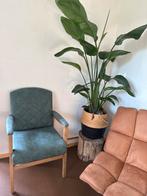 Mooie stoel - zo goed als nieuw!, Huis en Inrichting, Stoelen, Overige kleuren, Ophalen of Verzenden, Zo goed als nieuw, Eén