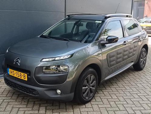 Citroen C4 Cactus 1.6 BlueHDi Business Leder Camera, Auto's, Citroën, Bedrijf, Te koop, C4 Cactus, ABS, Achteruitrijcamera, Airbags