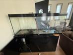Aquarium 150x60x40, Ophalen of Verzenden, Gebruikt, Leeg aquarium