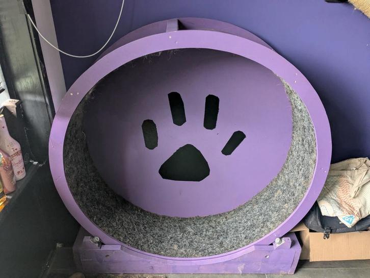 Loopwiel voor katten, Dieren en Toebehoren, Kattenspeelgoed, Gebruikt, Overig speelgoed, Ophalen