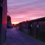 Box te huur, Weidegang, 1 paard of pony