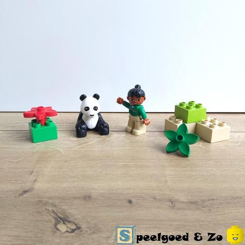 🐼 ZGAN | Lego Duplo Panda met Verzorgster | compleet | 6173, Kinderen en Baby's, Speelgoed | Duplo en Lego, Zo goed als nieuw
