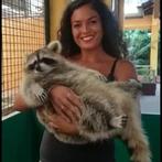 Dieren oppas/ pet sitter, Diensten en Vakmensen, Dieren | Katten | Verzorging, Oppas en Les, Particuliere oppas