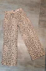 Madness jeans 31x32 (= XL), Kleding | Dames, Broeken en Pantalons, Overige kleuren, Madness, Nieuw, Ophalen of Verzenden