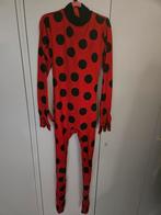 Ladybug Verkleedpak met Accessoires, Ophalen of Verzenden, Zo goed als nieuw, 122 t/m 128, Meisje