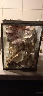 Decoratieve oude glazen doos met schelpen, Ophalen of Verzenden, Gebruikt