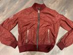Bordeaux horse gloss jasje maat xs, Dieren en Toebehoren, Paardrijkleding, Gebruikt, Kinderen, Dressuur, Ophalen of Verzenden