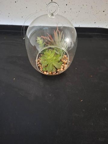 Kunstplant in glazen bol - 14x9cm beschikbaar voor biedingen