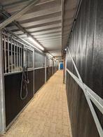 Stalling en weidegang aangeboden, Dieren en Toebehoren, Stalling en Weidegang, Stalling