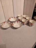 JBS servies Wild Garden, Overige typen, Ophalen of Verzenden, Zo goed als nieuw, Overige stijlen