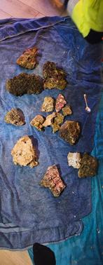 Levend steen 11.3 kilo, Dieren en Toebehoren, Plant(en), Steen of Hout, Ophalen of Verzenden, Zo goed als nieuw