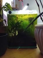 Nano aquarium, Dieren en Toebehoren, Vissen | Aquaria en Toebehoren, Ophalen, Gevuld zoetwateraquarium