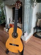 Aria AC-80, Muziek en Instrumenten, Ophalen, Gebruikt, Klassieke of Spaanse gitaar, Met koffer