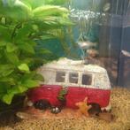 Guppen gratis afhalen, Dieren en Toebehoren, Vissen | Aquariumvissen