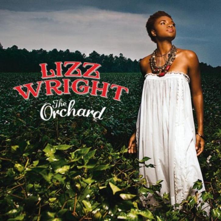 CD-sale LIZZ WRIGHT - The Orchard, Cd's en Dvd's, Cd's | Jazz en Blues, Zo goed als nieuw, Jazz, 1980 tot heden, Verzenden