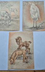 Oude dierenkaarten wenskaarten, Ophalen of Verzenden, 1940 tot 1960, Ongelopen, Overige soorten