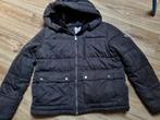 Tommy hilfiger winterjas maat M nieuwstaat, Kleding | Dames, Jassen | Winter, Tommy Hilfiger, Maat 38/40 (M), Ophalen of Verzenden