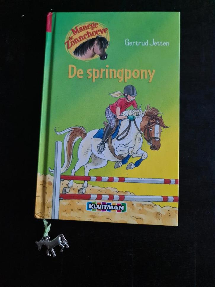 De Springpony - G Jetten - Manege de Zonnehoeve - paarden, Boeken, Kinderboeken | Jeugd | 10 tot 12 jaar, Zo goed als nieuw, Fictie