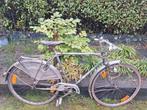 Kempenster, 56cm CT, Oldtimer, opknapper., 55 tot 59 cm, Ophalen