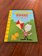 Borre ‘Borre gaat vliegeren’, groep 3, Boeken, Ophalen of Verzenden, Zo goed als nieuw, 3 tot 4 jaar