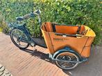 Babboe E-Curve Bakfiets, Fietsen en Brommers, Fietsen | Bakfietsen, 4 kinderen of meer, Gebruikt, Elektrisch, Ophalen