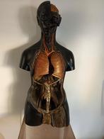 Uniek Medisch Kunstobject, Ophalen of Verzenden