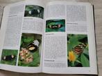 Vlinder encyclopedie Wijbren Landman, Verzenden, Zo goed als nieuw, Natuur algemeen
