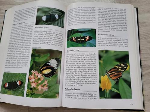 Vlinder encyclopedie Wijbren Landman, Boeken, Natuur, Zo goed als nieuw, Natuur algemeen, Verzenden