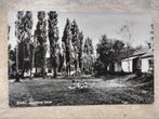 Ansichtkaart Breda Bavel Roosbergseweg Jeugdhuis - 1969, Ophalen of Verzenden, 1960 tot 1980, Gelopen, Noord-Brabant