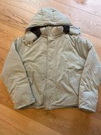 Winterjas dames daily paper maat 36, Kleding | Dames, Jassen | Winter, Nieuw, Ophalen of Verzenden, Onbekend, Maat 36 (S)